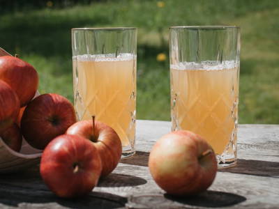 Bild 59 aus  Brandnerhütte