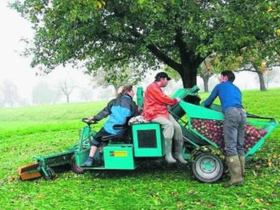 Bild 5 aus  Hofgut Unterbach