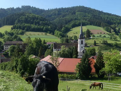 Bild 12 aus  Pension Muserhof