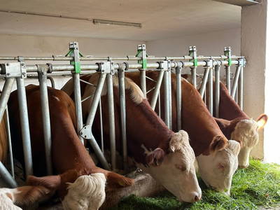 Bild 18 aus  Ferienhaus Klampfl