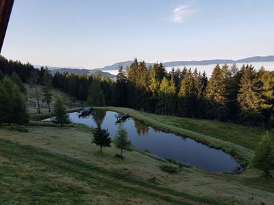 Bild 6 aus Moarbauerhütte