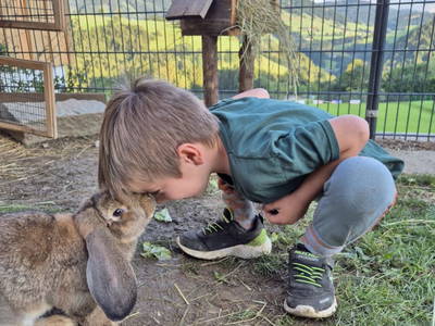 Bild 65 aus  Seyerlehnerhof