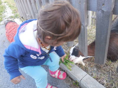 Bild 95 aus  Haus Bernardes