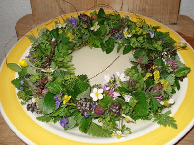 Bild 24 aus  Haus Elfriede