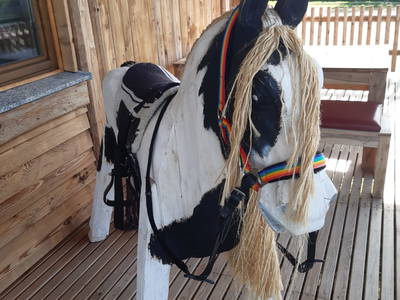 Bild 15 aus  Urlaub am Erlebnishof Strasser