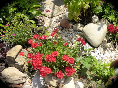 Bild 58 aus  Dichtlhof