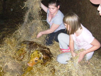 Bild 17 aus  Überlackner