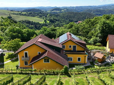 Bild 95 aus  Weingut Stoff