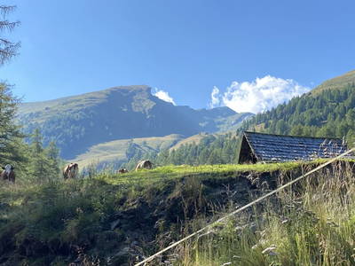 Bild 41 aus  Peitlerhütte