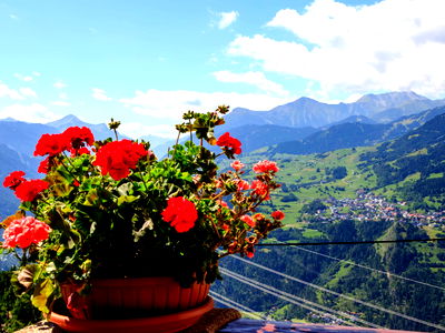 Bild 96 aus Biohof-Inntalblick