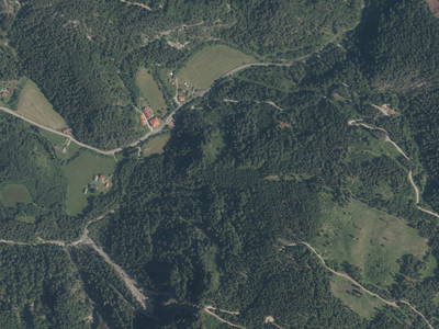 Bild 39 aus  Almhütte Meierle