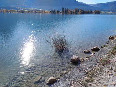 Bild 184 aus  Klinglerbauer