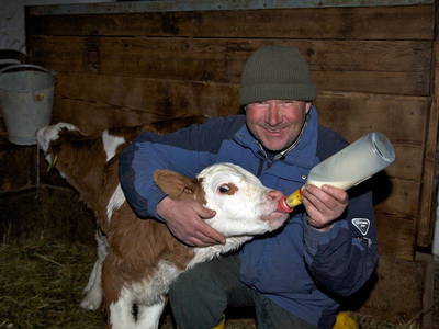 Bild 31 aus  Pfeiferhof