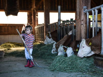 Bild 52 aus  Almhof Unterranner