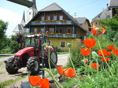 Bild 39 aus  Lacknerhof in Liebenfels- Familie Klocker