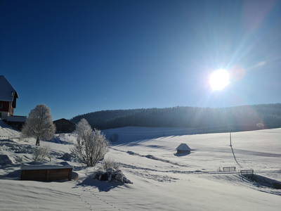 Bild 18 aus  Wendelhof