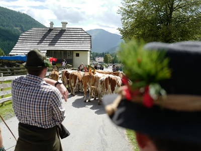 Bild 79 aus  Familienhotel-Gasthof Hinteregger