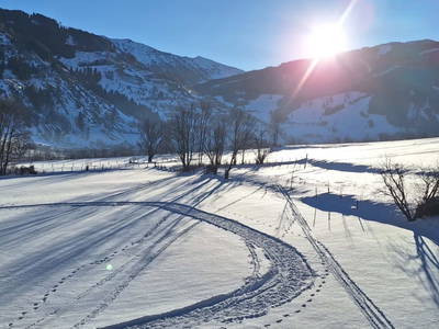 Bild 19 aus  Voithof