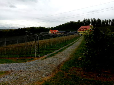 Bild 43 aus Apfelhof