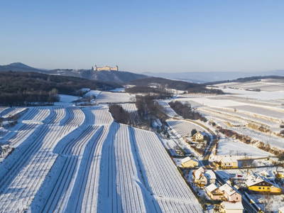 Bild 66 aus  Naturgartenurlaub - Steffis Ferienwohnungen