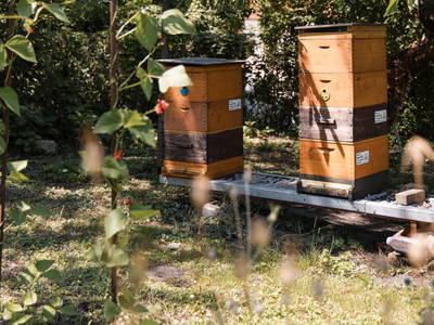 Bild 27 aus  Ferienwohnung Engel