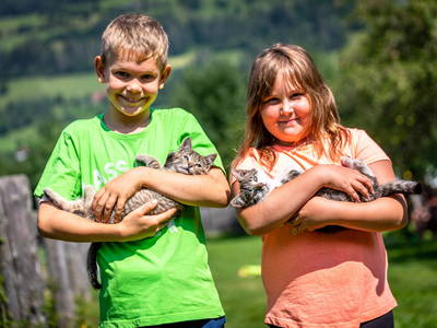 Bild 16 aus  Pension Zechnerhof