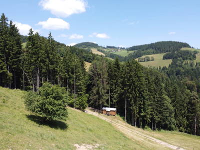 Bild 10 aus  Krieglwaldhütte