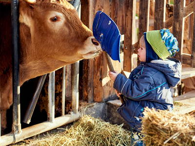 Bild 6 aus  Ferienhof Larrieder Mühle