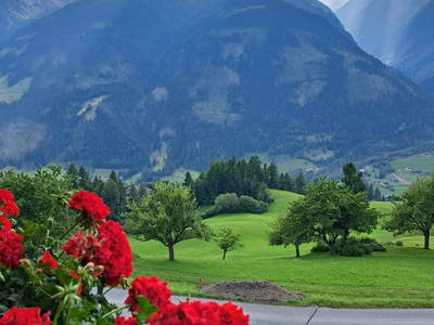 Bild 13 aus  Chalet Mittner Wirt