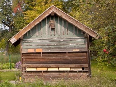 Bild 16 aus  Landhaus Essl