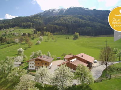 Bild 37 aus  Taxengut