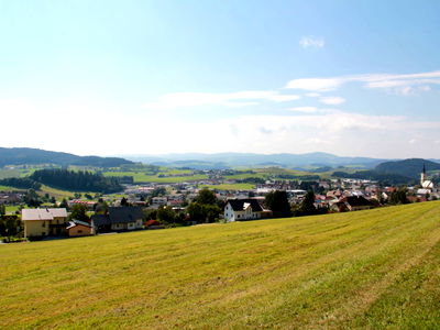 Bild 37 aus Biobauernhof Leitner Zizlbauer