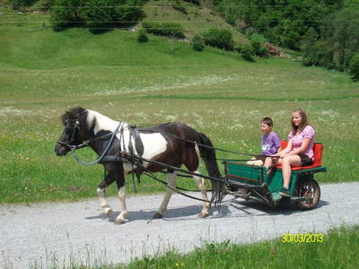 Bild 13 aus  Bäuerlicher Gästering Großarltal