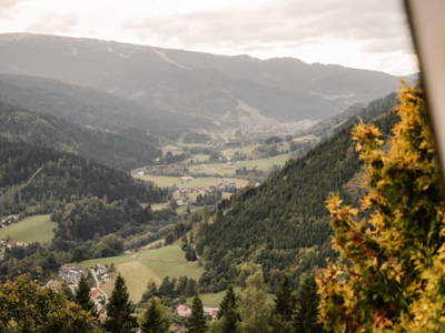 Bild 6 aus  Die Käferhube