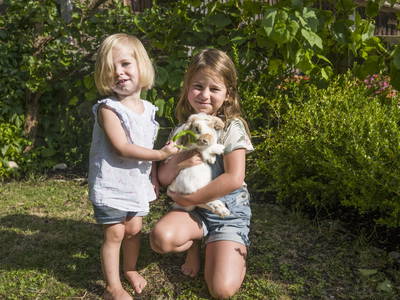 Bild 13 aus  Zillertaler Hofchalets Schustererhof