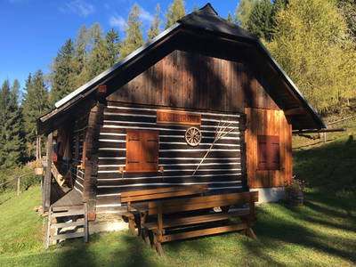 Bild 65 aus Pettacher Hütte