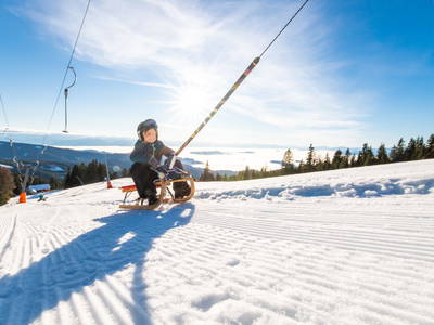 Bild 31 aus  Die Saualmleitn