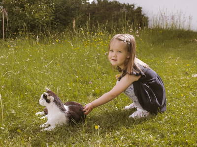 Bild 20 aus  Knappenhof