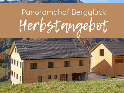 Bild 82 aus  Panoramahof Bergglück