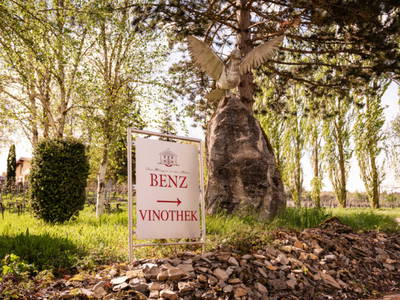 Bild 6 aus  Weingut & Weinhotel Benz