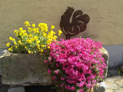 Bild 24 aus  Ferienhof Ott im Romantischen Franken bei Rothenburg o.d.T.