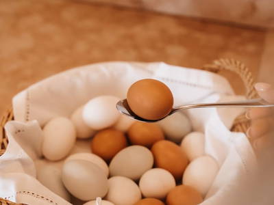 Bild 73 aus  Almenlandhof