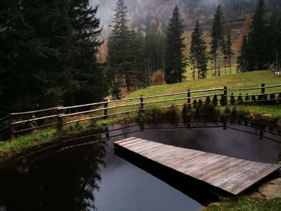 Bild 15 aus  Schleiferhütte