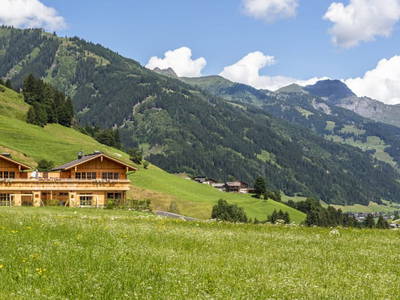 Bild 18 aus Raingrub Chalets
