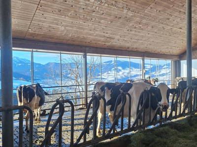 Bild 11 aus  Ferienhof Muxel