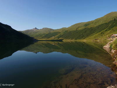 Bild 81 aus  Taxengut