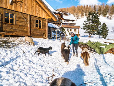 Bild 35 aus  Familienhotel-Gasthof Hinteregger