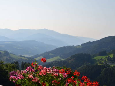 Bild 28 aus  Alm-Ferienhaus Schleinzer