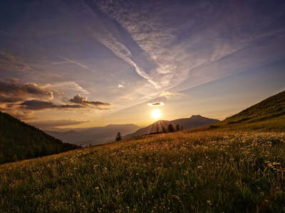 Bild 4 aus  Almchalet - Hirterhütte Trattbergalm