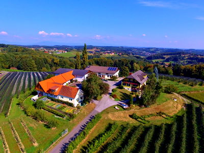 Bild 44 aus Brandl Obstbauernhof